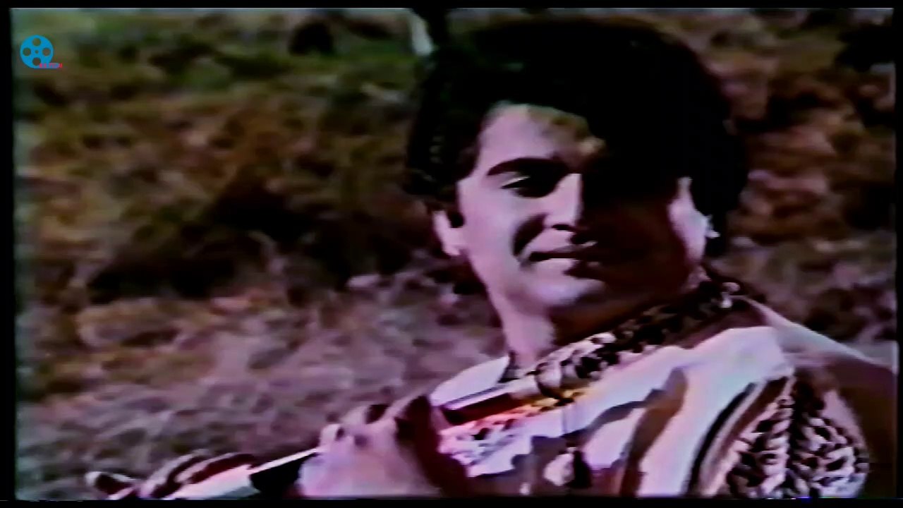 JAB BHI SUNU GI TERI BANSURYA( PAKISTANI HD SONG)