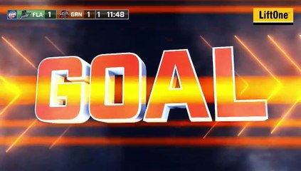 ECHL Florida Everblades  at Greenville Swamp Rabbits