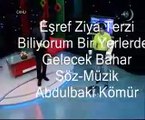 Esref Ziya terzi Bahar