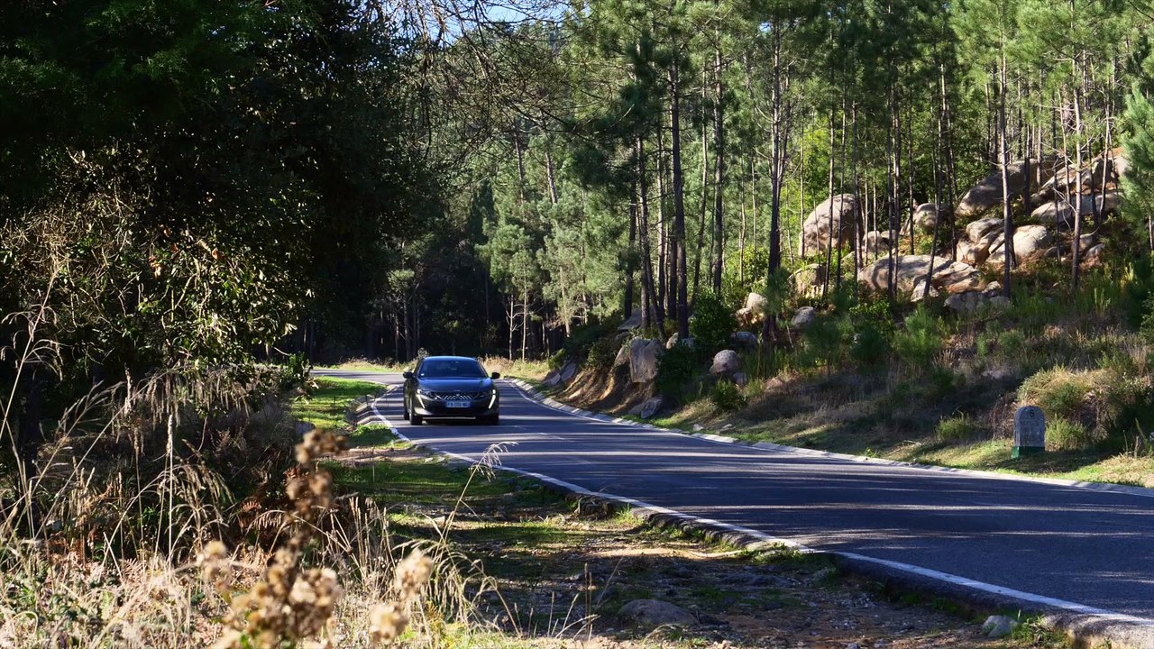 Peugeot 508 SW 1.6 l 225 EAT8 - Der neue Peugeot 508 Kombi im Test