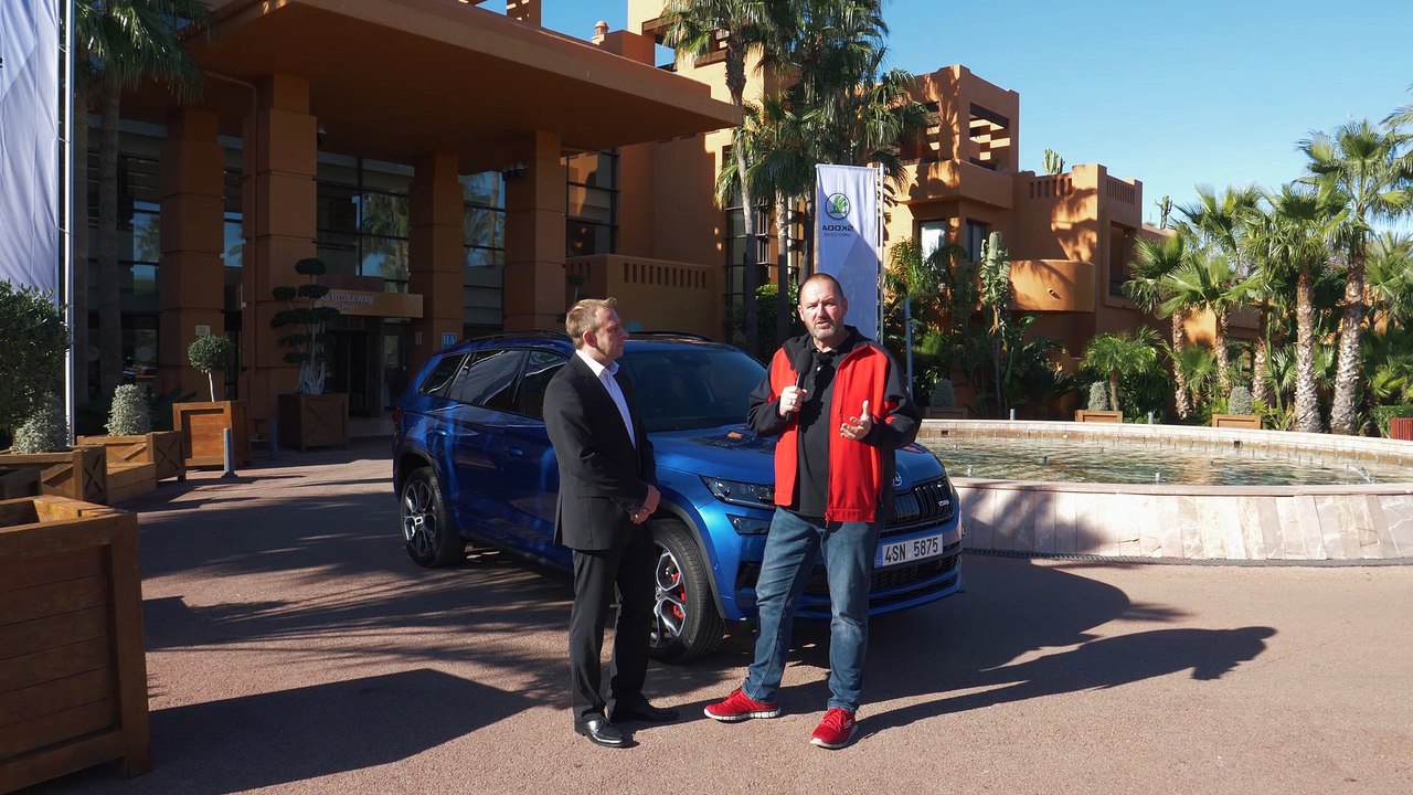 Skoda Kodiaq RS 2,0 BiTDI SCR DSG 4x4 Test & Fahrbericht