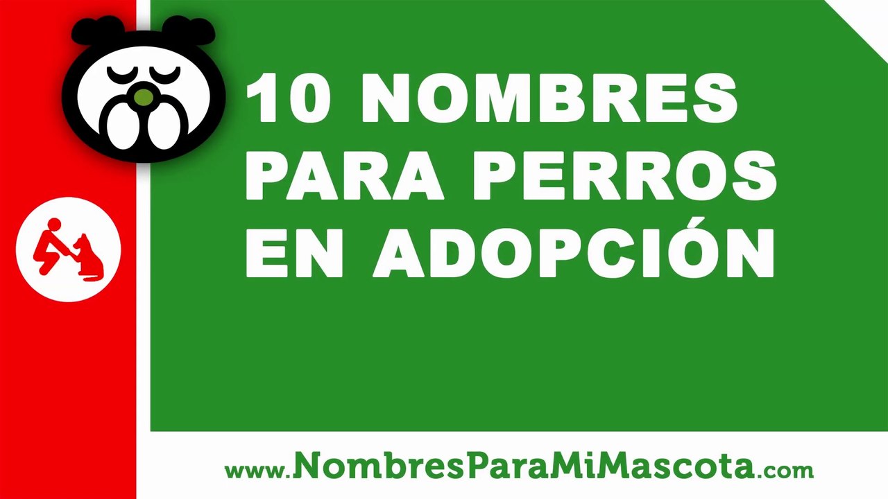 Perros en adopción, ideas de nombres - nombres de mascotas - www.nombresparamimascota.com