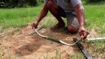 Fantastic ! Unique Bird Trap - Learning To Make Bamboo Bow Bird Trap - Beautiful Bird