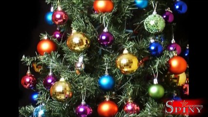 freestyle Julien Le Stagiaire [Guillaume Radio 2.0]