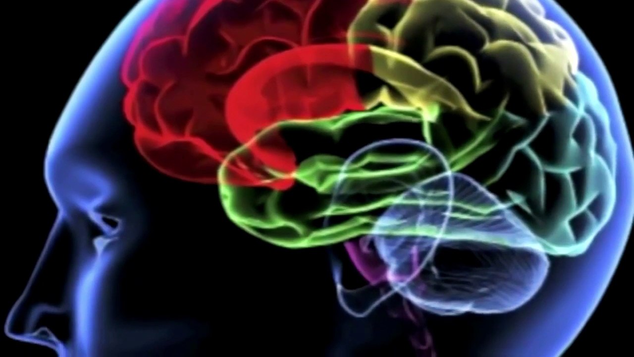 Quantenphysik_ bewußtsein und unterbewußtsein ulrich warnke, #schonbewusst