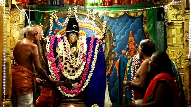 Ayyae Metthakadinam | Nithyasree Mahadevan | Gopalakrishna Bharathi | Tamil Devotional Song