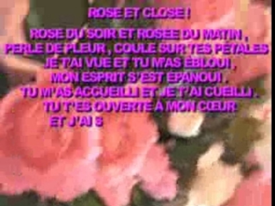ROSE ET CLOSE !