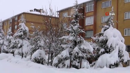 - Bitlis’te 287 köy yolu ulaşıma kapandı