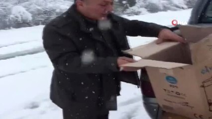 Dünyanın En Hızlı Uçan Kuşu Gökdoğan, Trabzon'da Yaralı Halde Bulundu