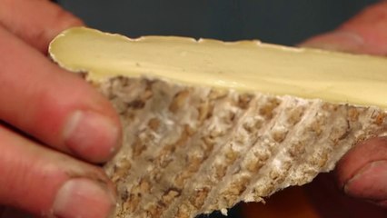 Conso - Les fromages AOP