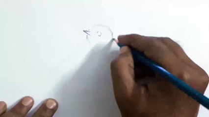 How to Draw a Sparrow