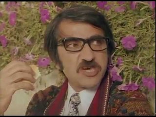 فيلم زوجتى من الهيبز