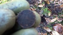 Metal detecting XP Deus, Koppelschlos mit dabei