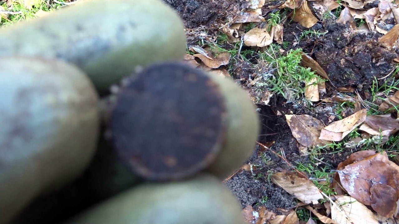 Metal detecting XP Deus, Koppelschlos mit dabei