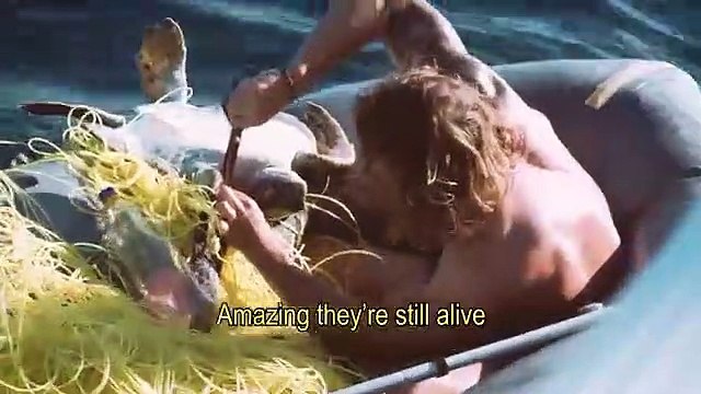 Il libère quatre tortues prisonnières d'un filet de pêche (Océan Pacifique)