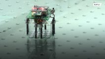 Chinese scientists create Terminator-inspired miniature liquid metal robot