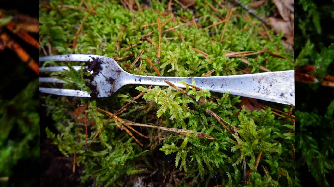 Metal detecting XP Deus, mit Bunker