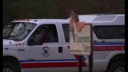 Leão foge e mata tratadora