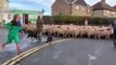 Road block! Flock of hundreds of sheep driven through Yorkshire village