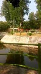 beautiful park in India