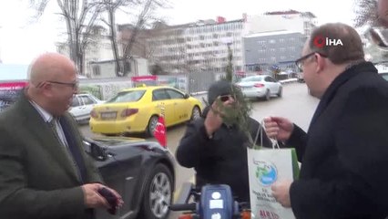 'Ağaç Kesme Fidan Dik'