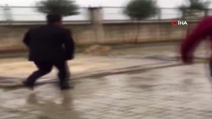 Cizre'de Nesli Tükenmekte Olan Boynuzlu Baykuş Bulundu