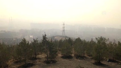 İran'ın Soğuk Havalardaki Kabusu Hava Kirliliği (2)