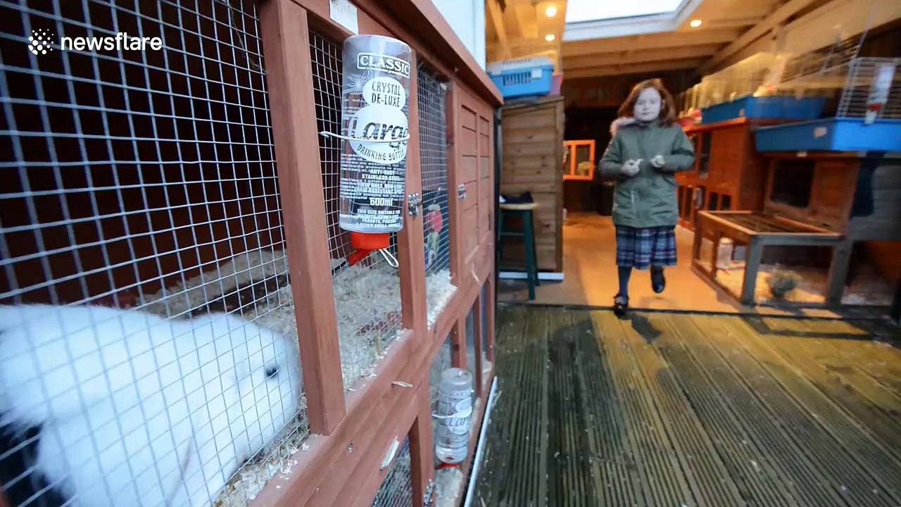 A real-life Dr Doolittle family who keep 46 pets