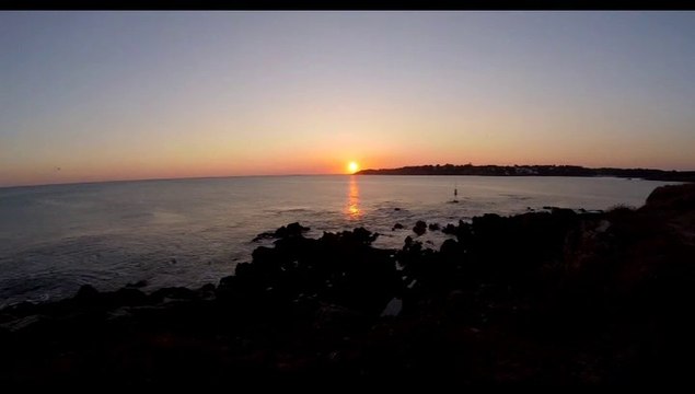 Bonne Année 2019, bonne santé , joyeuse fête à tous.