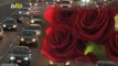The Scent of a Rose Might Have the Power to Significantly Reduce Car Accidents