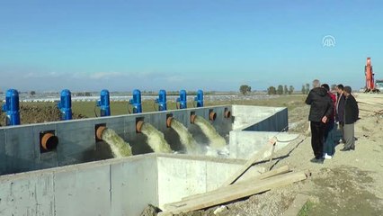 Şiddetli Yağışların Etkilediği Tarlalardaki Sular Çekiliyor