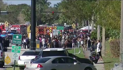 California plans stricter gun laws in 2019