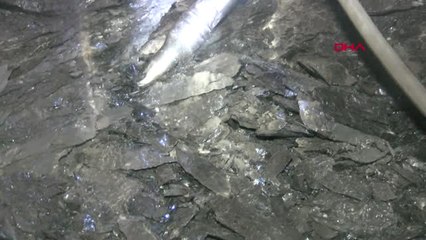 Zonguldak Yeni Yıla Çalışarak Giren Maden İşçilerine Pasta Sürprizi