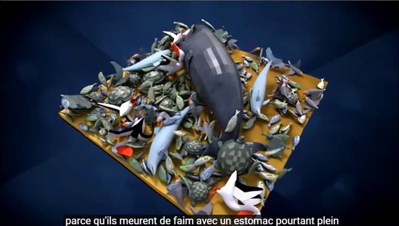 Pollution plastique : STOP !