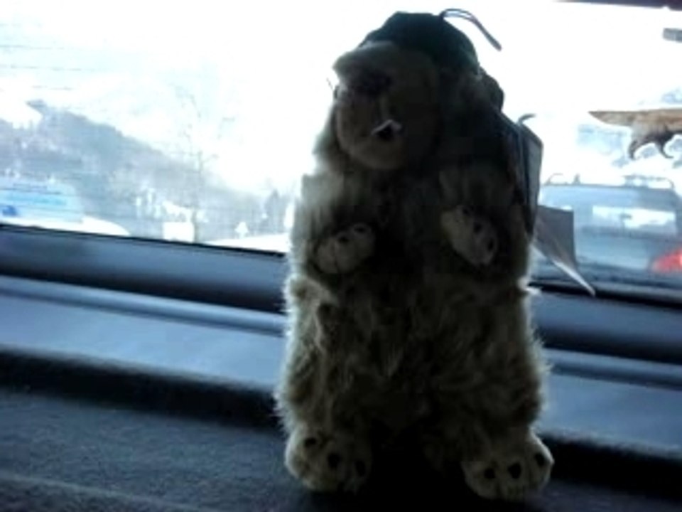 Vacances à la MOntagne