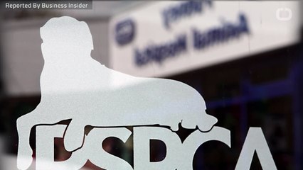 Snoop Dogg Offers To Adopt Abandoned Dog Called 'Snoop'