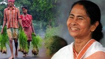 Mamata Bannerjee ने New Year पर खोला पिटारा, Farmers को फसल बीमा का मिला तोहफा | वनइंडिया हिंदी