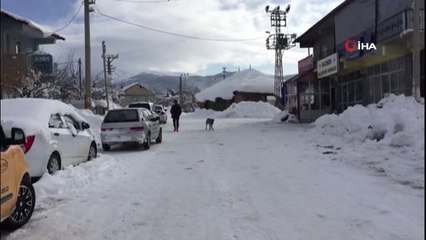 Bingöl'de 4.2, Elazığ 3.9'luk Deprem