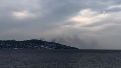 Büyükada'da Yangın Kontrol Altına Alındı