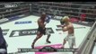 Deux minutes ont suffi à Mayweather pour battre le jeune kickboxeur japonais Tenshin Nasukawa