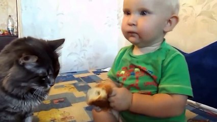 Kids and Cats  Funny Kid Plays with Cats / Kediler ve Bebeklerin  eğlenceli oyunları