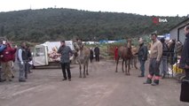 Yaralanan Atlar, Kamyonlarla İbb'nin Rehabilitasyon Merkezine Götürülüyor