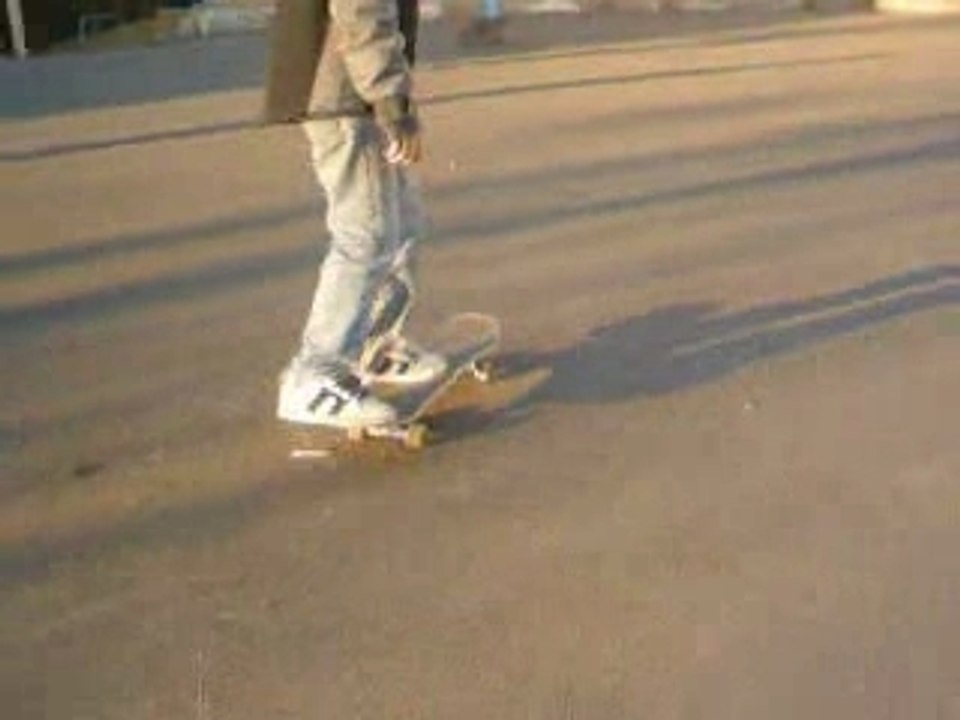Skate in prigonrieux