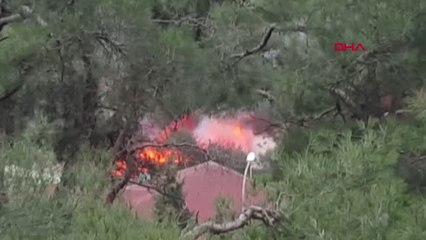 İstanbul Büyükada'da Ormanlık Alanda Yangın