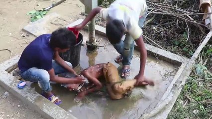 Must Watch New Funny & Comedy Videos 2019  - Funny Vines 2019 ||  Episode 04