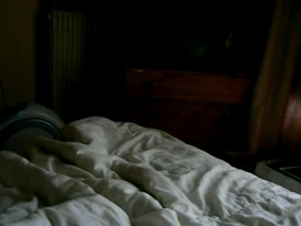 Mini chat trop mimi ^^