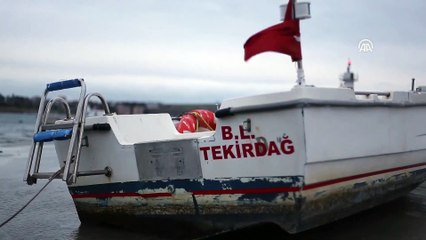 Marmaraereğlisi'nde deniz çekilmesi - TEKİRDAĞ (2)