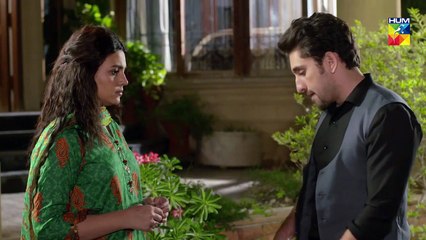 Lamhay Episode #19 HUM TV Drama 1 January 2019
