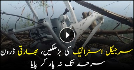 Pakistan Army shoots down Indian 'spy drone' along LoC