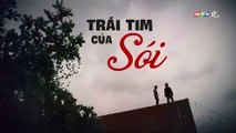 Trái Tim Của Sói Tập 15 - Phim Việt Nam